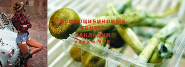 спиды Аркадак