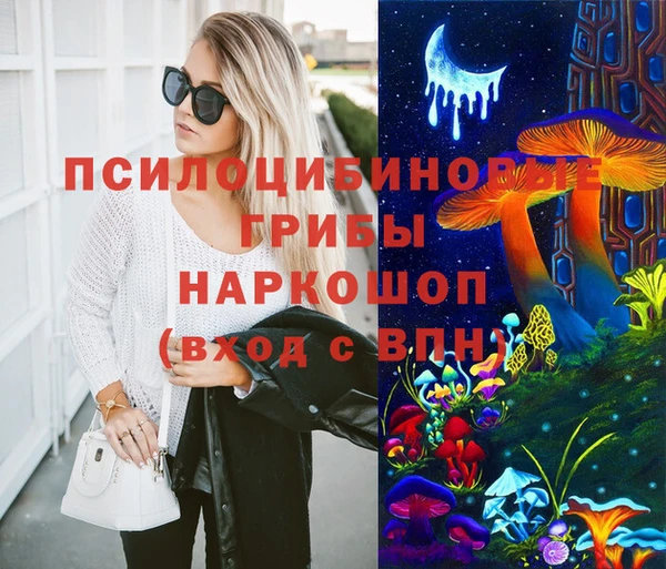 спиды Аркадак