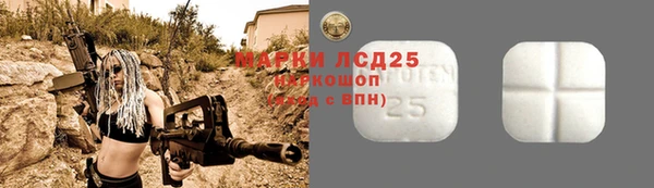 спиды Аркадак