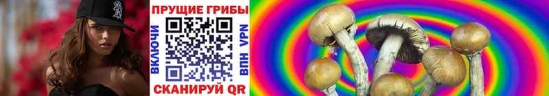 Галлюциногенные грибы MAGIC MUSHROOMS Семилуки